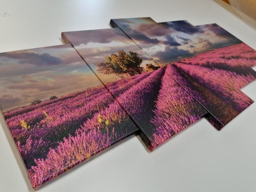 5-dielny obraz krajina levanduľových polí