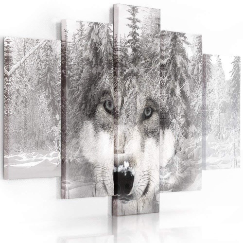 Obraz na plátně pětidílný Vlčí lesní zvíře šedé
