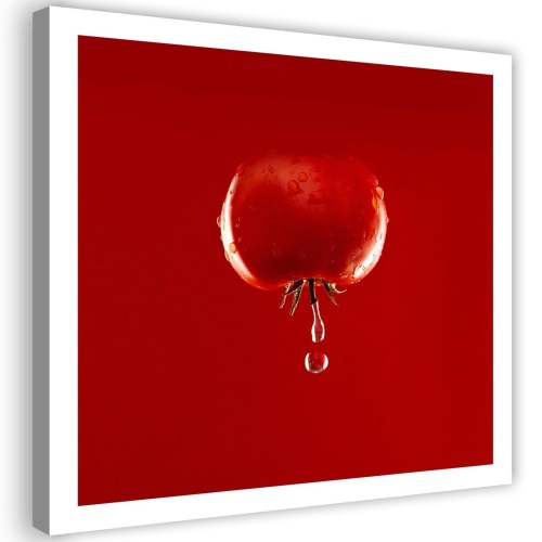 Obraz na plátně Zeleninová voda z červených rajčat