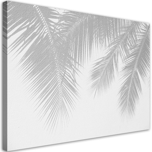 Obraz na plátně, Šedé palmové listy