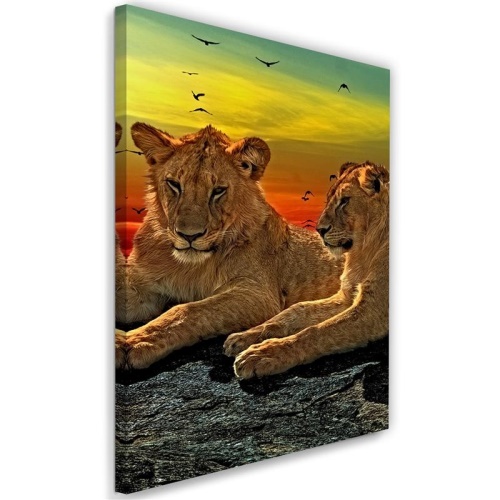 Obraz na plátně Lvi Afrika Zvířata