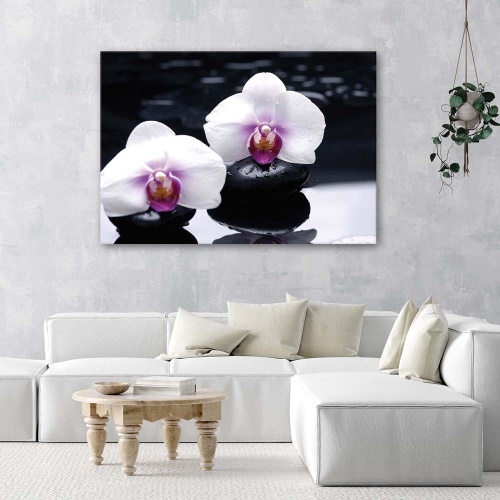 Obraz na plátně Orchidej Zen Stones Purple