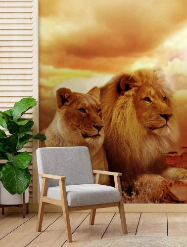 Fototapeta, Kočky lev pár zvířat