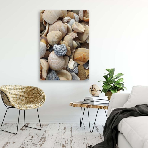 Obraz na plátně Mušle Kameny moře