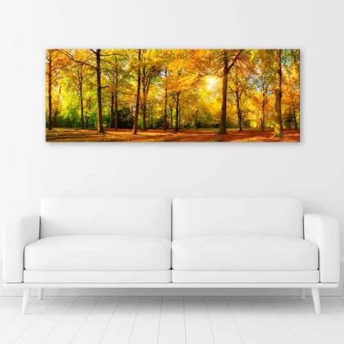 Obraz na plátně Lesní podzimní žlutá