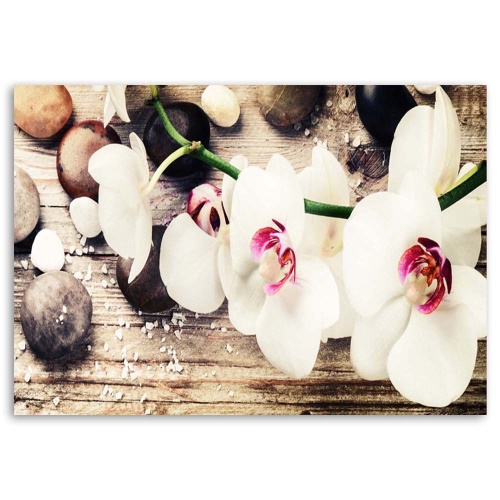 Obraz na plátně Orchidejové kameny Zen White