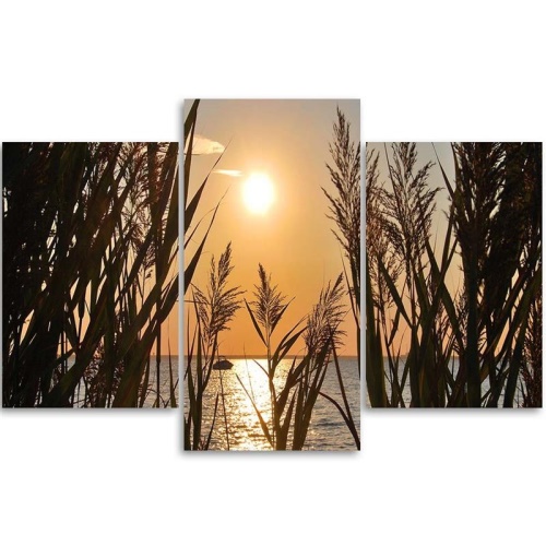 Obraz na plátně třídílný Západ slunce s mořskou trávou