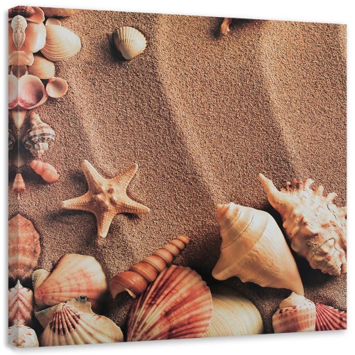 Obraz na plátně Mušle Mořský písek