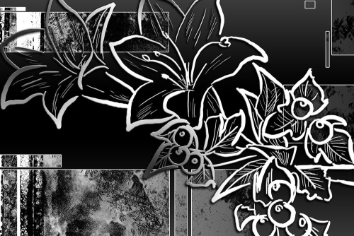 Obraz kvetinová ilustrácia v čiernobielom prevedení