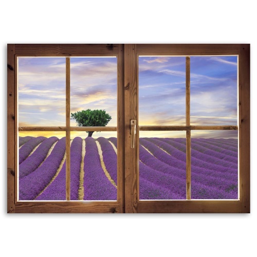 Obraz na plátně Výhled z okna na levandulové pole