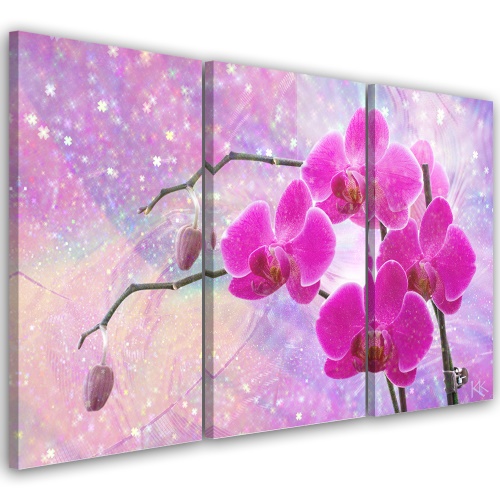 Obraz na plátně třídílný, Základní abstrakce orchidejí