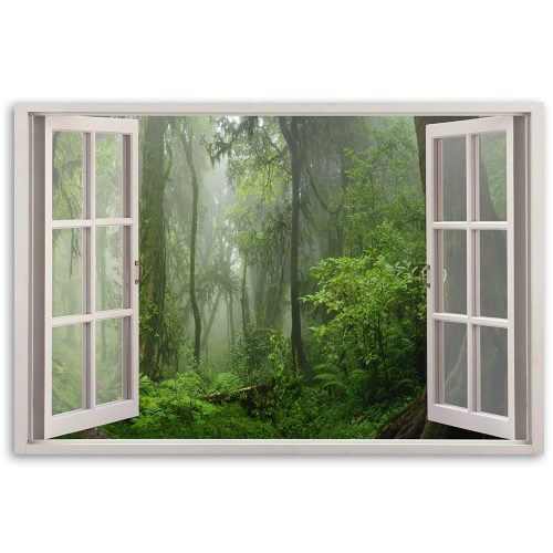 Obraz na plátně, Tropické okno lesa džungle