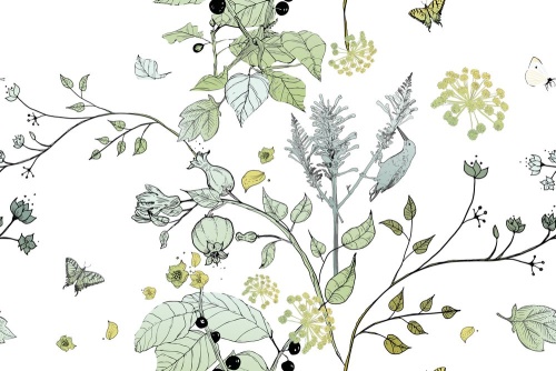 Tapeta zelené vetvičky rastlín - 75x1000 cm
