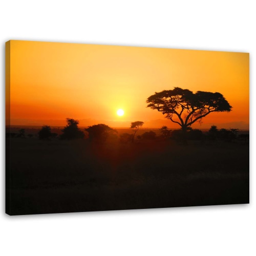 Obraz na plátně Afrika Strom západ slunce