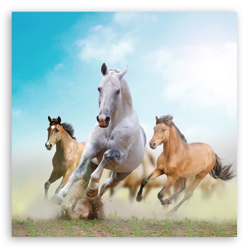 Obraz na plátně, Cválající koně
