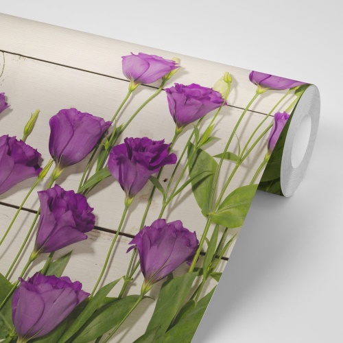 Samolepiaca fototapeta nádherné fialové kvety