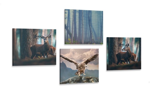 Set obrazov zákutia lesa