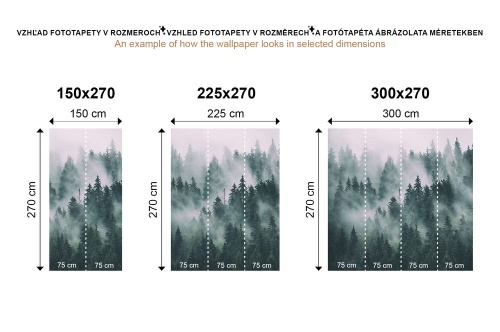 Samolepiaca tapeta tajomný les so šedým pozadím - 75x1000 cm