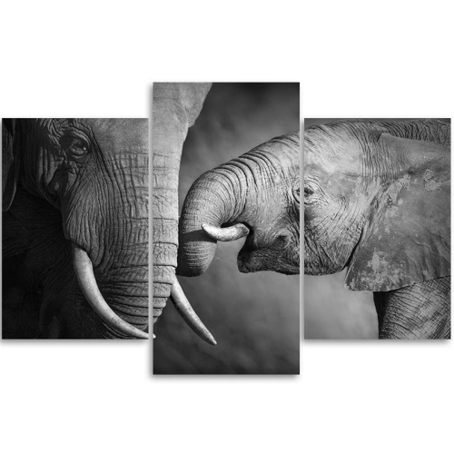 Obraz na plátně třídílný Slon černobílý