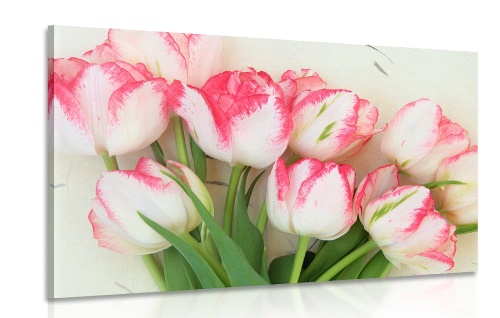 Obraz jarné tulipány