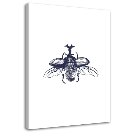Obraz na plátně Brouk Hmyz Příroda Černobílý