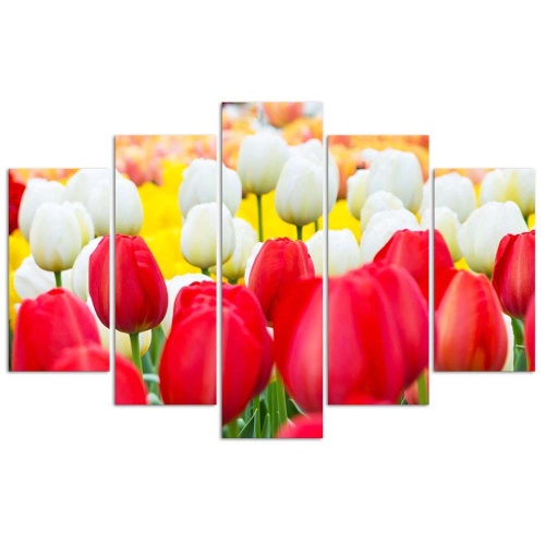 Obraz na plátně pětidílný Tulipán červený bílý