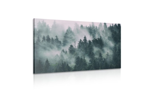 Obraz hory v hmle