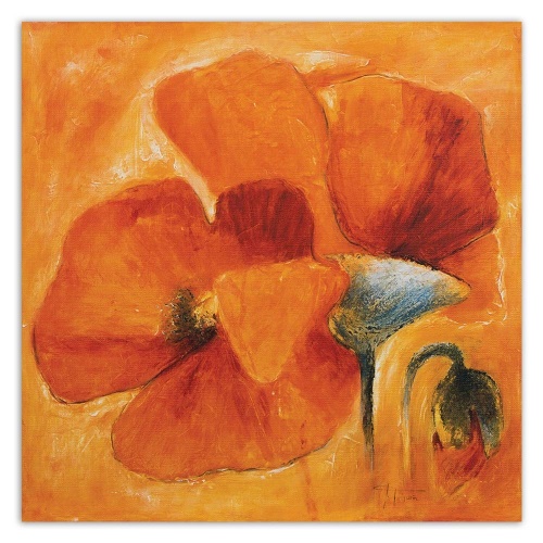 Obraz na plátně Květina Poppy Orange
