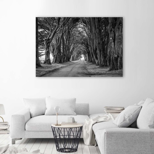 Obraz na plátně Stromy Černý bílý park