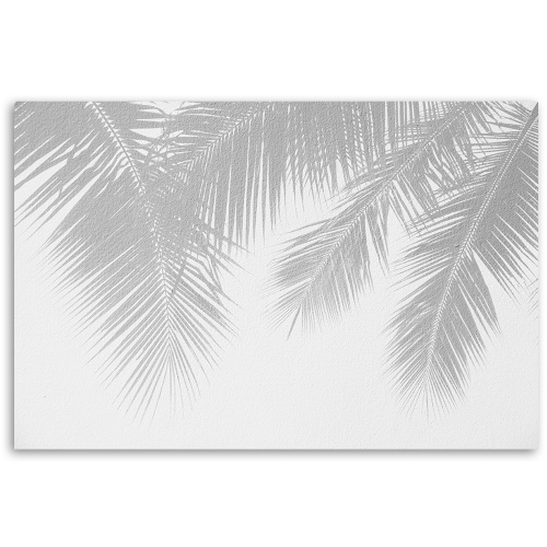 Obraz na plátně, Šedé palmové listy