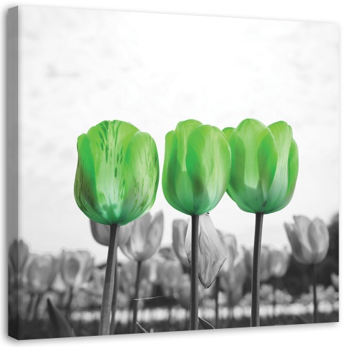 Obraz na plátně Květiny Zelené tulipány
