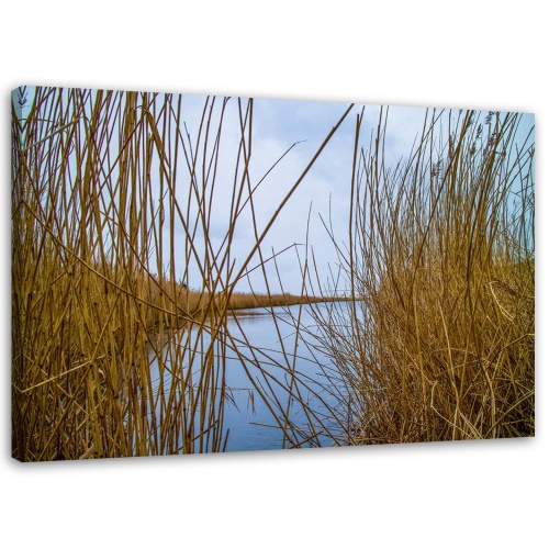 Obraz na plátně Příroda travnatého jezera
