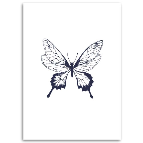 Obraz na plátně Malovaný motýl Černá a bílá