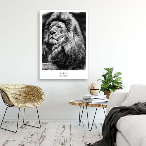 Obraz na plátně, Afrika Lvi Zvířata