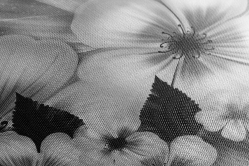 Obraz fantázia kvetov v čiernobielom prevedení