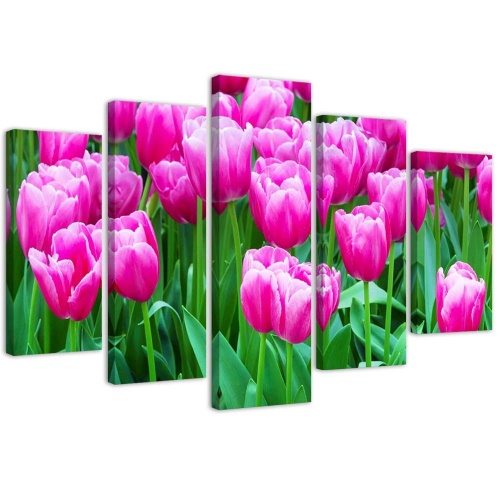Obraz na plátně pětidílný Růžové tulipány