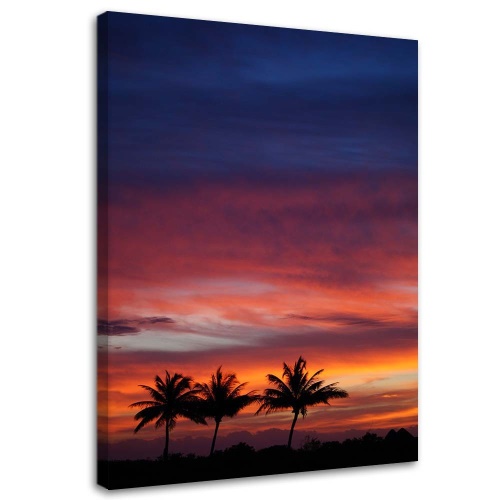 Obraz na plátně Palmy západ slunce moře