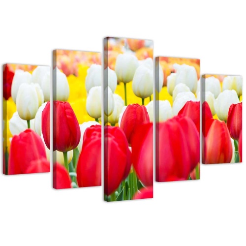 Obraz na plátně pětidílný Tulipán červený bílý