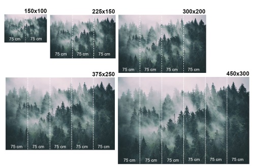 Samolepiaca fototapeta čiernobiela hmla nad lesom