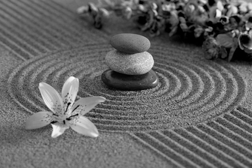 Samolepiaca fototapeta čiernobiela Zen záhrada