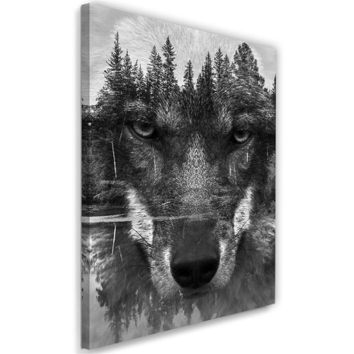 Obraz na plátně Vlk Lesní zvířata Příroda
