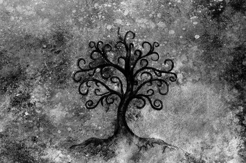 Samolepiaca tapeta čiernobiely strom života