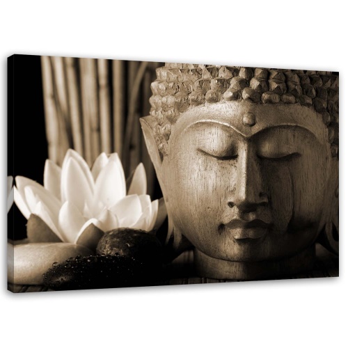 Obraz na plátně Buddha a lilie Květina Brown