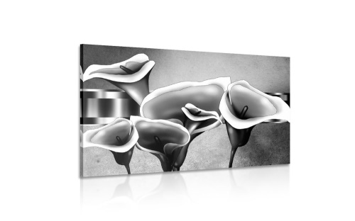 Obraz elegantné kvety kaly v čiernobielom prevedení