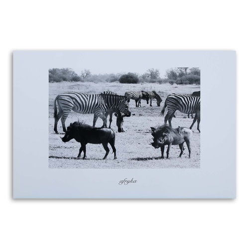Obraz na plátně Afrika Savana Zvířata