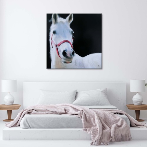 Obraz na plátně Bílí koně