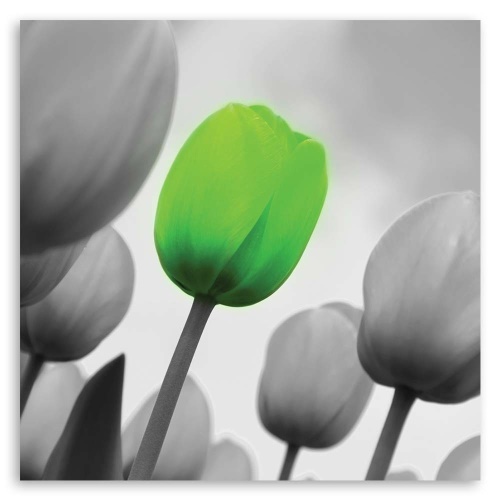 Obraz na plátně Tulipány zelená šedá