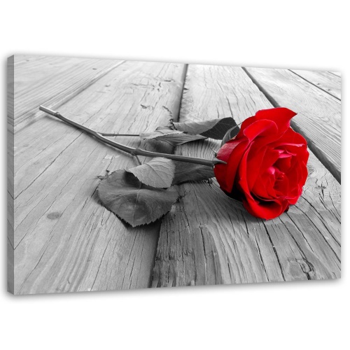Obraz na plátně Červená růže na dřevěné podlaze