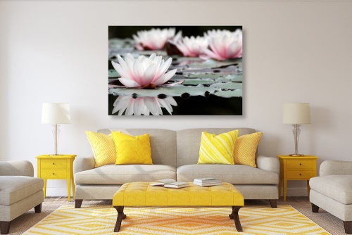 Obraz lotosový kvet