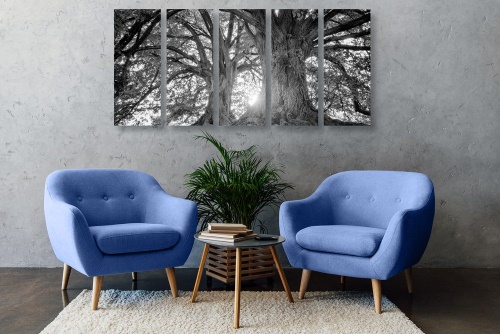 5-dielny obraz čiernobiele majestátne stromy